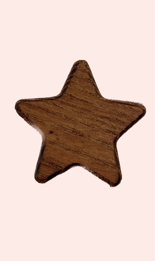 마그넷 별 (참죽)
